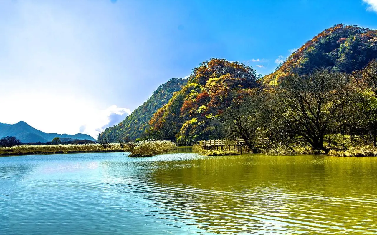 稳定性智慧城市高端
